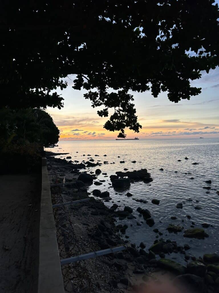 Baie du Tombeau greiner.mu