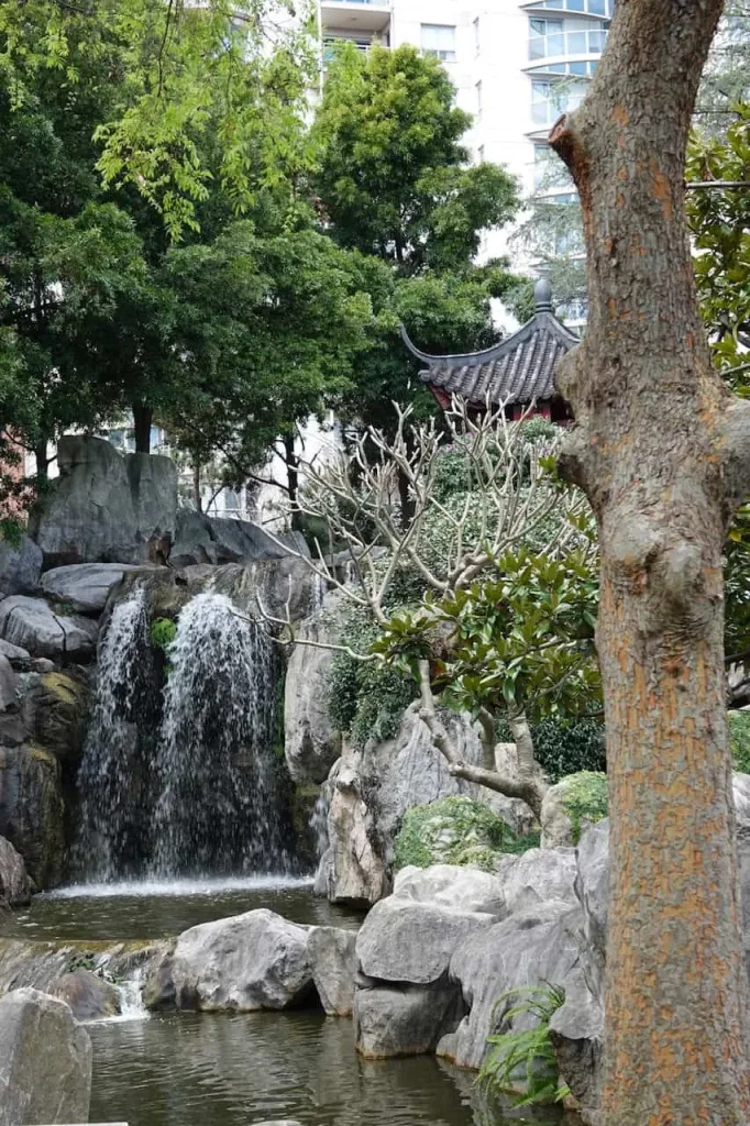 DSC04616