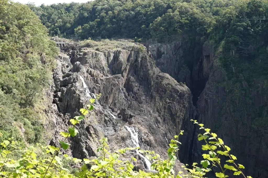 DSC04908