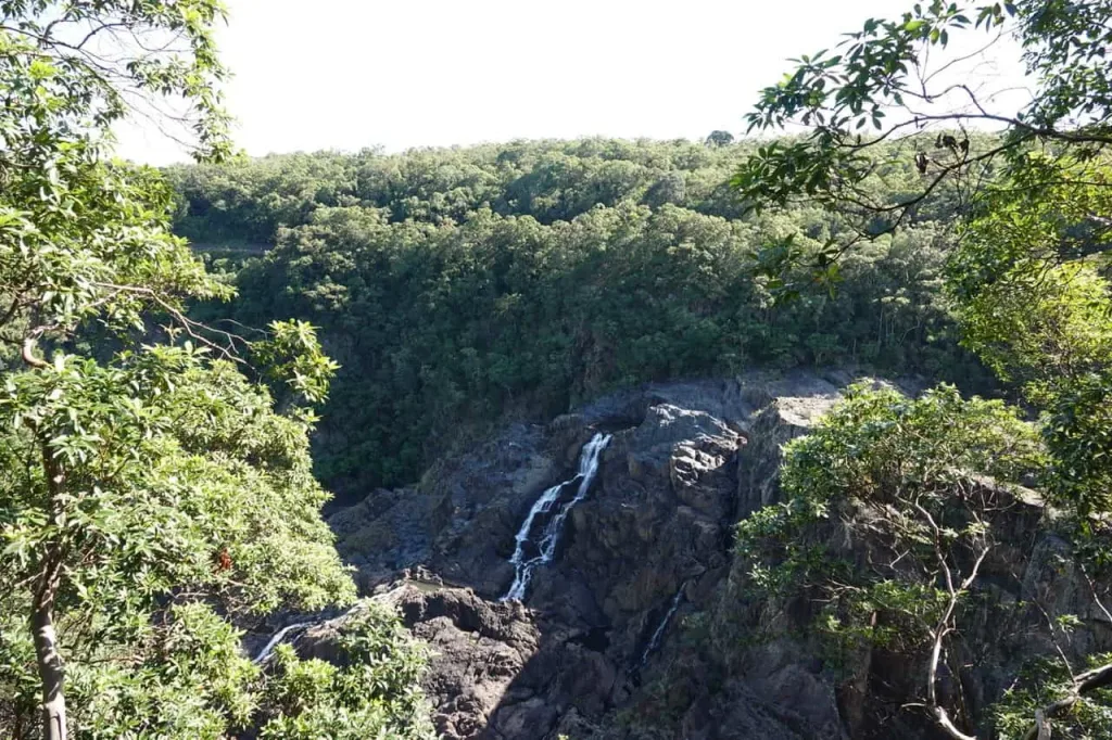 DSC05015