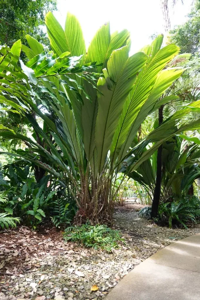 DSC05060