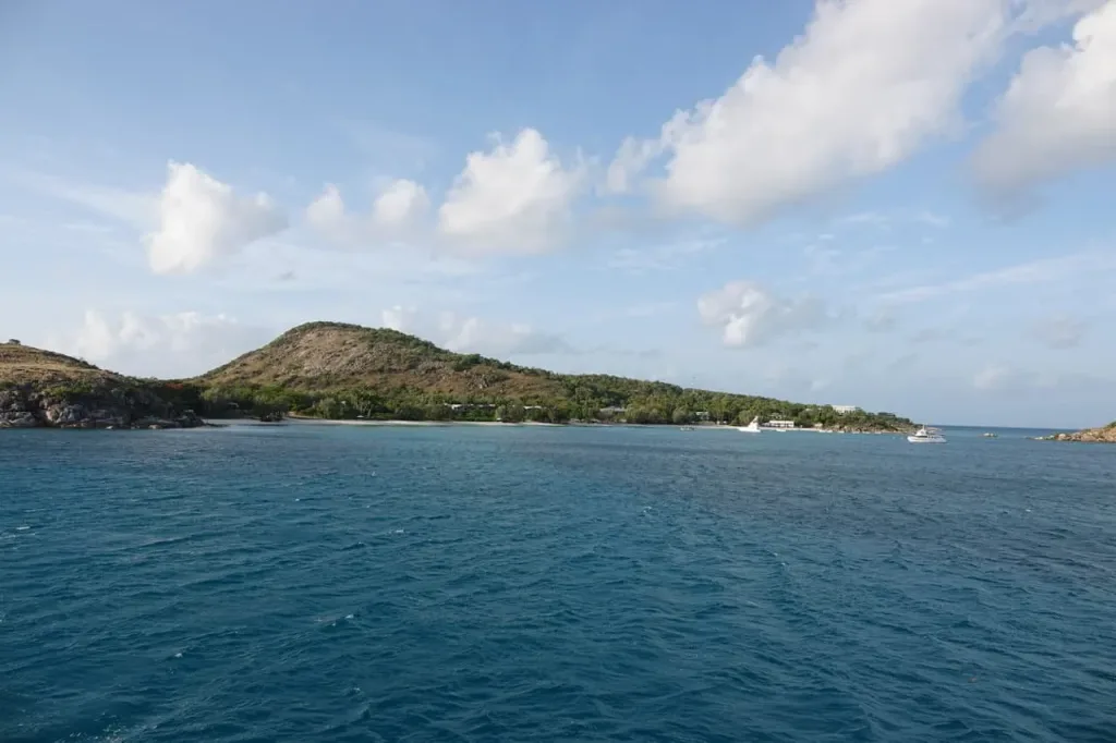 DSC05106