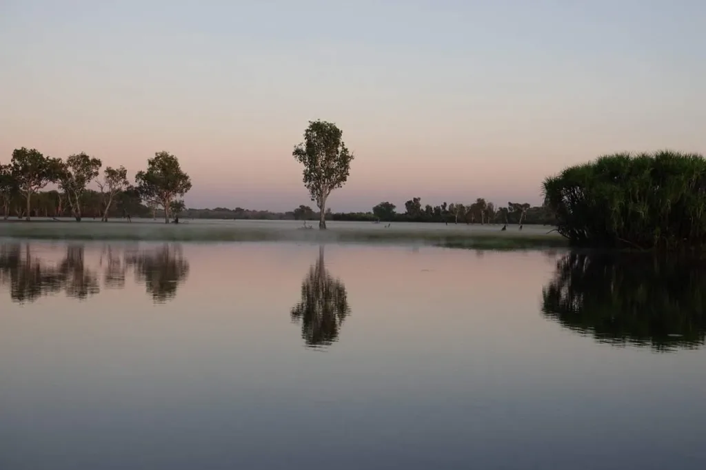 DSC05420