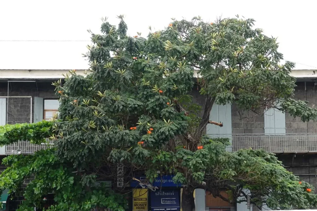 DSC05940