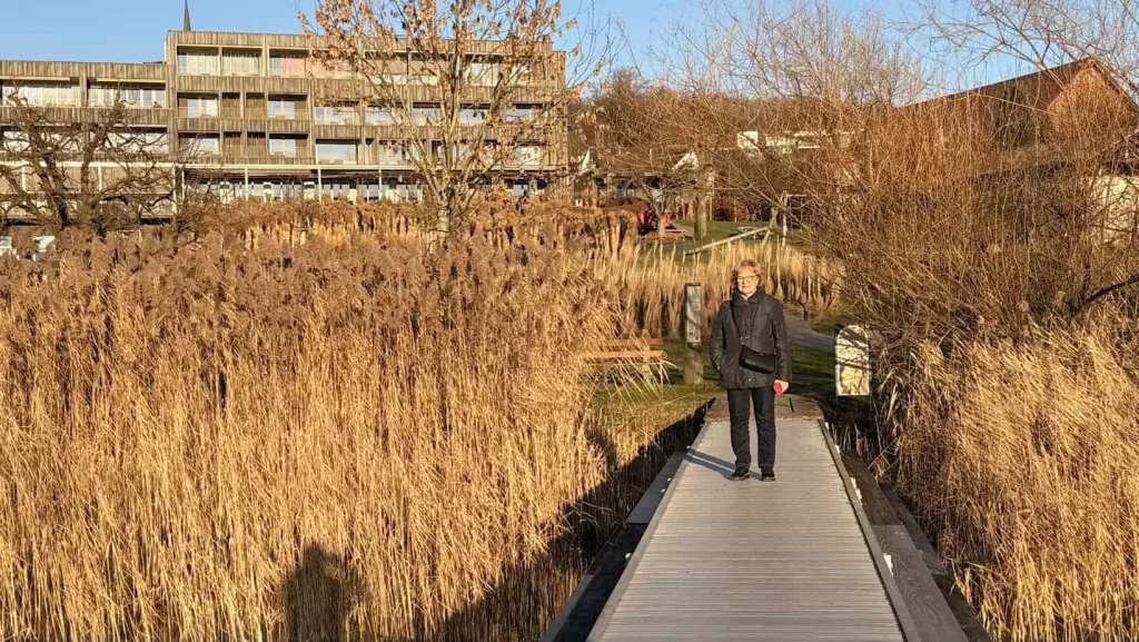 Schilf im Herbst auf einem Spazierweg, modernes Hotel im Hintergrund, nachhaltige Natur- und Architekturgestaltung.