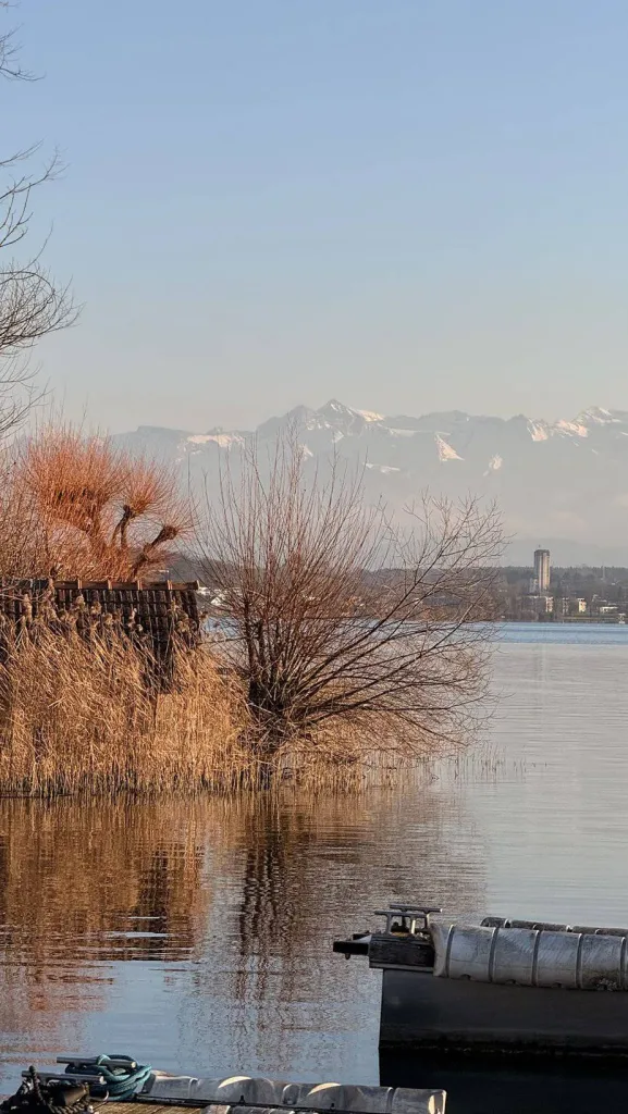 Blick auf den Zürichsee mit Schnee bedeckten Alpen im Hintergrund.