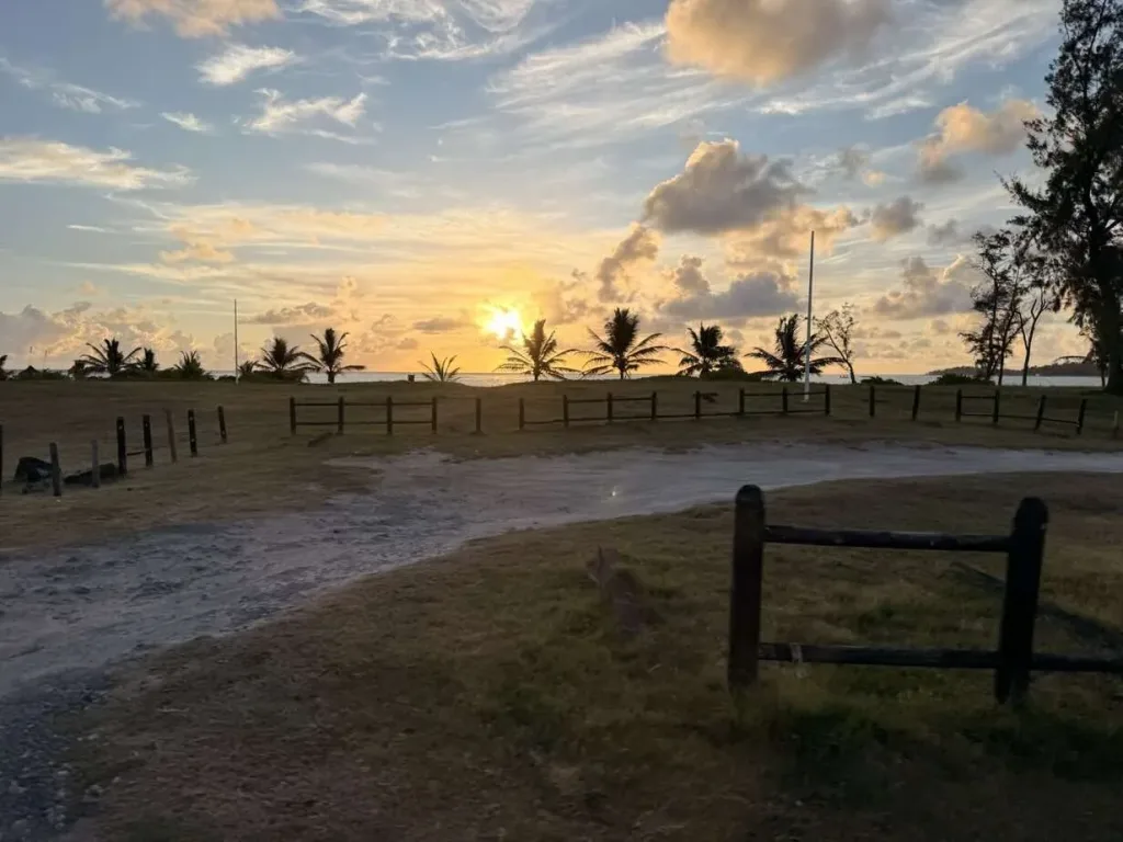 Sonnenuntergang am Strand mit Palmen und Meer, perfekte Urlaubskulisse an der schönen Küste.