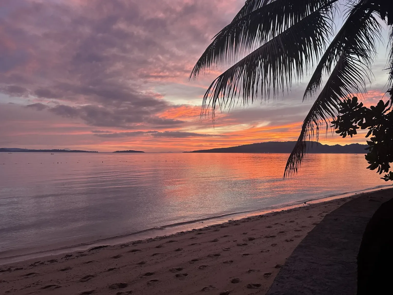 Sonnenuntergang am Meer mit Palme